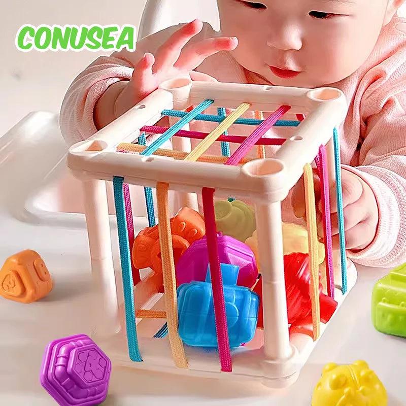 Montessori Baby Toys 0-12 Months Sensory Development Learning Educational Toys Colorful Blocks Sorting Game for Babies Infant